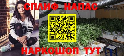 бошки Ливны