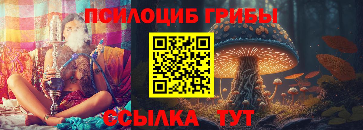 Галлюциногенные грибы MAGIC MUSHROOMS  Галлюциногенные грибы Psilocybine cubensis  Советский  Вход с VPN 